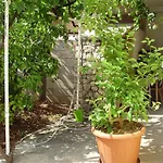 Jakobina