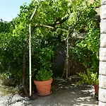 Jakobina